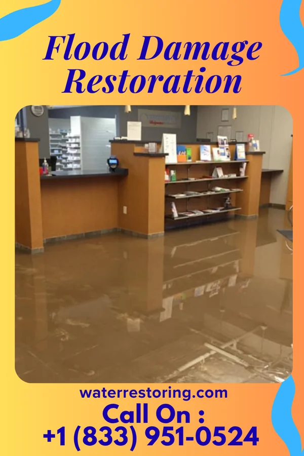Flood Damage Restoration in Armstrong, MO